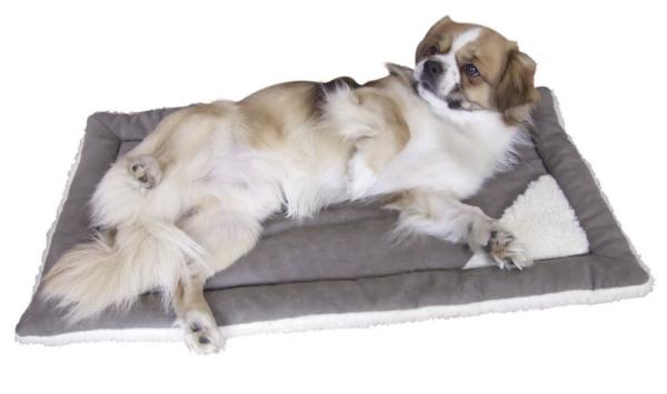 Einlage-Kissen für Transportbox oder Katzenhaus - Hundebett, Hundedecke, Katzenbett